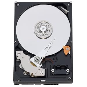Western Digital WD3200AAJS-KIT 320 GB 8,9 cm (3,5 Zoll) Festplatte intern Caviar Blue 7200rpm 8MB SATA II