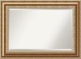Vienna Bronze Wall Mirror - Oversize,44.7 x 32.7 Framed