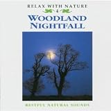 Woodland Nightfall