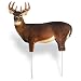 Renzo's� Whitetail Buck Decoy