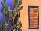 IMAGE OF Southwestern Cactus and Window, Tucson, Arizona, USA Photographic Poster Print by Tom Haseltine, 42x56