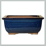 7 1/2 Inch Blue Ceramic Bonsai Tree pot - joebonsai