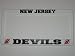 NEW JERSEY DEVILS Team Logo PLASTIC LICENSE PLATE FRAME