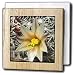 Nipple Cactus flower.(Mammillaria dioica).Anza-Borrego Desert State Park, California - 6 Inch Tile Napkin Holder