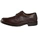 Hush Puppies Men's Infrared Oxford
