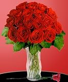18 Red Long Stem Roses - B000P0LHO8