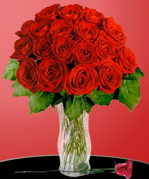 18 Red Long Stem Roses