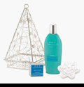 Winter Frost Bath Gift Set Winter Frost Bath Gift Set