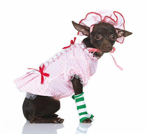 Country Pup Pet Costume