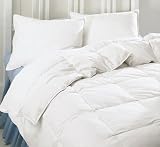 Review Homevisions  / Full/Queen Feather and Down Comforter, 86