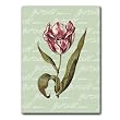 "Get Well Soon" with Tulip 7 - 5" x 7" Vellum Overlay Greeting Card