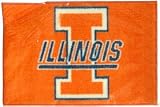 Illinois Fighting Illini 20x30 Tufted Rug - College Athletics Sports Merchandise