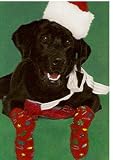 Black Lab in Christmas Socks Christmas Card