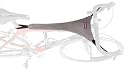 Blackburn Sweat Net Bicycle Sweat Protector for Indoor Bicycle Trainers