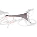 Blackburn Sweat Net Bicycle Sweat Protector for Indoor Bicycle Trainers