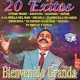 20 Exitos