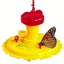 Backyard and Beyond Butterfly Feeder