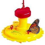 Butterfly Feeder
