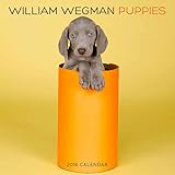 William Wegman Puppies 2016 Wall Calendar
