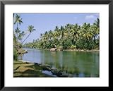 The Backwaters at Chavara, Kerala State, India, Asia Collections Framed Art Poster Print by Jenny Pate, 31x25