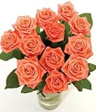 Review Post-a-Rose  / 12 Pink Roses