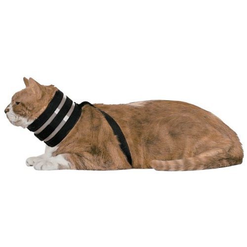 BiteNot Cat Collar, 2.5" W