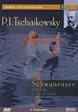 Tchaikovsky - Swan Lake (Kirov Ballet) [DVD] [US Import]