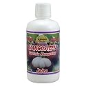 Dynamic Health Mangosteen Juice Blend, Garcinia Mangostan, 32 Ounces (Pack of 2)