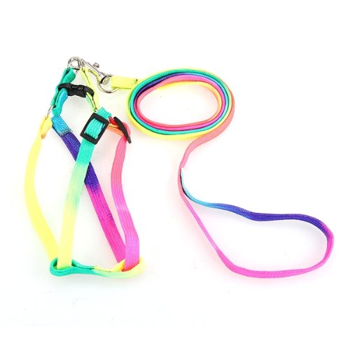 Dogness Laisse Harnais Nylon Coloré pour Chien Chat Lapin Animaux Dogness Laisse Harnais Nylon Coloré pour Chien Chat Lapin Animaux
