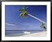 Alona Beach, Panglao Island, off Coast of Bohol, Philippines, Southeast Asia Framed Art Poster Print by Robert Francis, 39x31