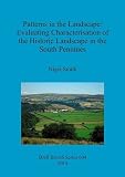 Patterns in the landscape : evaluating characterisation of the historic landscape in the south Pennines