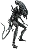Movie Masterpiece - 1/6 Scale Fully Poseable Model: Aliens - Alien Warrior 画像