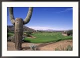 The Boulders Golf Course, Phoenix, AZ Framed Photographic Poster Print by Bill Bachmann, 36x26
