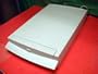 Epson B813182 Transparency Unit for Expression 1600