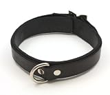 Mr-S-Leather 1 1/4 Leather Locking Buckle Collar