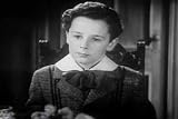 Little Lord Fauntleroy DVD (1936) Classic Rags to Riches Movie Starring Freddie Bartholomew, Mickey Rooney, C. Aubrey Smith, Dolores Costello, Henry Stephenson, and Guy Kibbee.