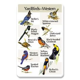 Identiflyer SongCard - Eastern Yardbirds