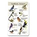 Identiflyer SongCard - Eastern Yardbirds