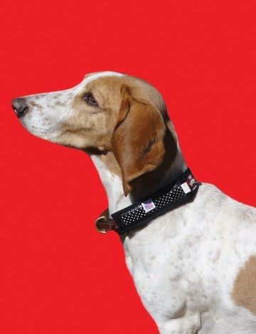 FLY ARMOR SMALL DOG BAND INSECT REPELLENT