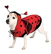 Lady Bug Pet Costume, Small