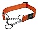 Rogz Utility Large 3/4-Inch Reflective Fanbelt Obedience Half-Check Dog Collar, Orange