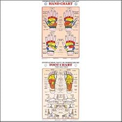 Hand Reflexology Chart/Poster