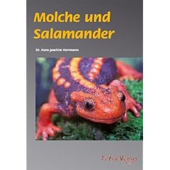 Molche und Salamander