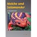 Molche und Salamander