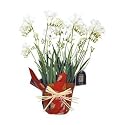 White Freesia Christmas Plant