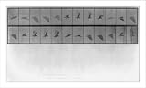 Historic Print (M): [Hawk in flight]