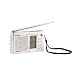 Lenco WR-30 Band Weltempfanger Tragbares Radio