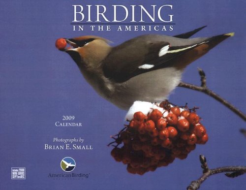 Birding