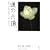 �@�̏ё� THE PORTRAITS OF LOTUS�\��،O�ʐ^�W