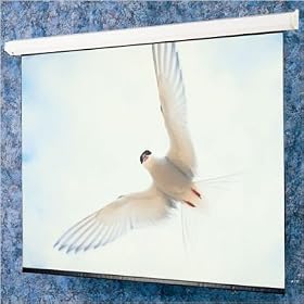 Draper Glass Beaded: Targa Electric Screen With Quiet Motor - WideScreen 9...
